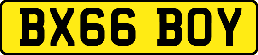 BX66BOY