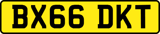 BX66DKT