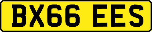 BX66EES