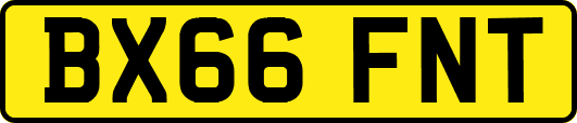 BX66FNT