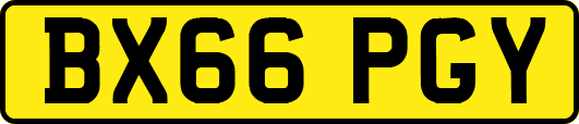 BX66PGY