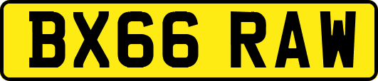 BX66RAW