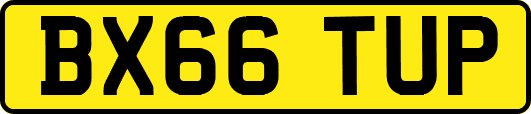 BX66TUP