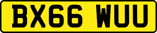 BX66WUU