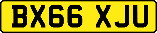 BX66XJU