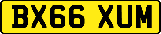 BX66XUM