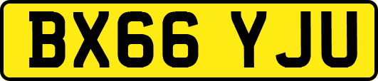 BX66YJU