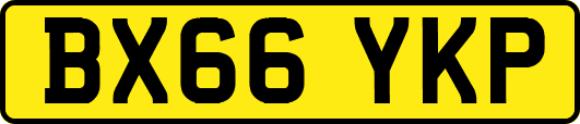 BX66YKP