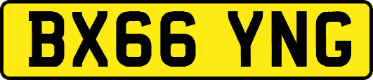 BX66YNG