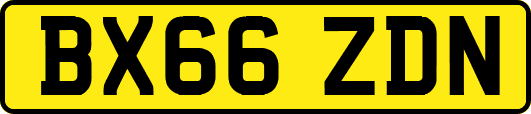 BX66ZDN