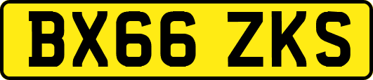 BX66ZKS