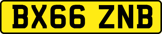 BX66ZNB