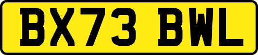 BX73BWL
