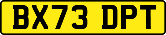 BX73DPT