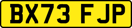 BX73FJP