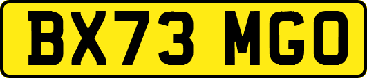 BX73MGO