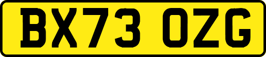 BX73OZG