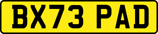 BX73PAD