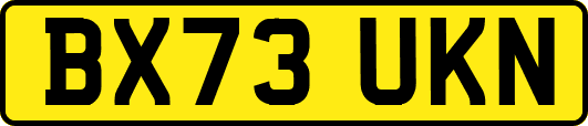 BX73UKN