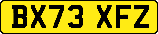 BX73XFZ