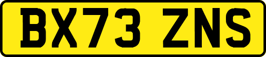 BX73ZNS