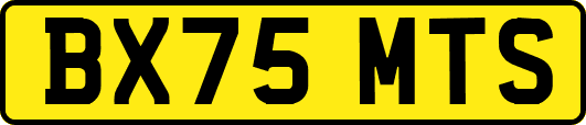 BX75MTS
