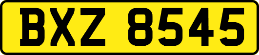 BXZ8545