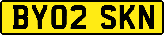 BY02SKN