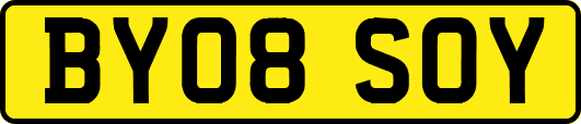 BY08SOY