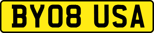 BY08USA