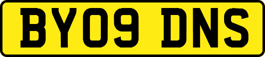 BY09DNS