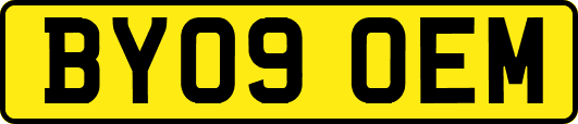 BY09OEM
