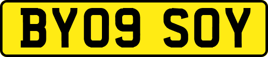 BY09SOY