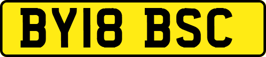 BY18BSC