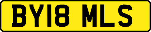 BY18MLS
