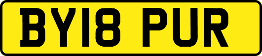 BY18PUR