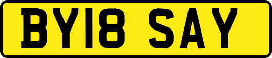 BY18SAY