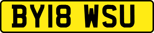 BY18WSU