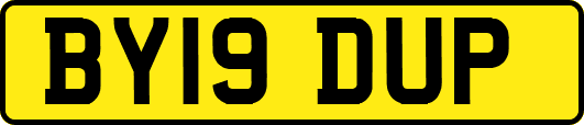 BY19DUP