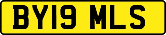 BY19MLS