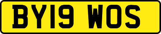 BY19WOS