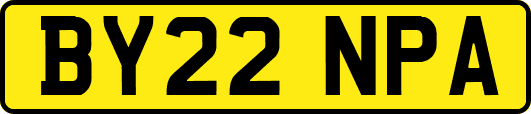 BY22NPA