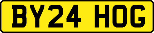 BY24HOG