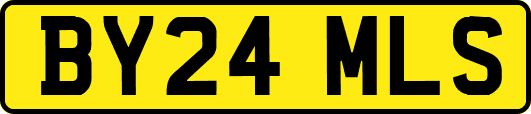 BY24MLS