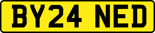 BY24NED
