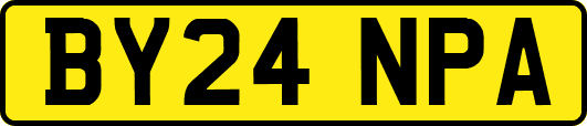 BY24NPA