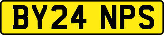 BY24NPS