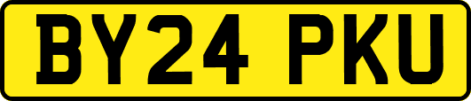 BY24PKU