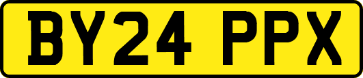 BY24PPX