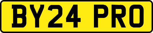 BY24PRO
